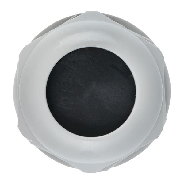 Сальник PG21 IP54 (100 шт) d отв. 28 мм / d провод. 13-18 мм EKF PROxima