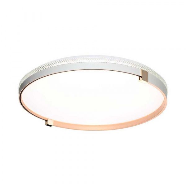 Настенно-потолочный светодиодный светильник Sonex Pale Olidi White 7646/DL