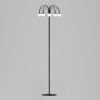 Торшер Eurosvet Ragno a070272