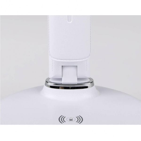 Настольная лампа Ambrella light Desk DE520