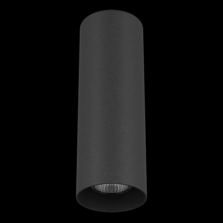 Потолочный светильник Lightstar Rullo 216497