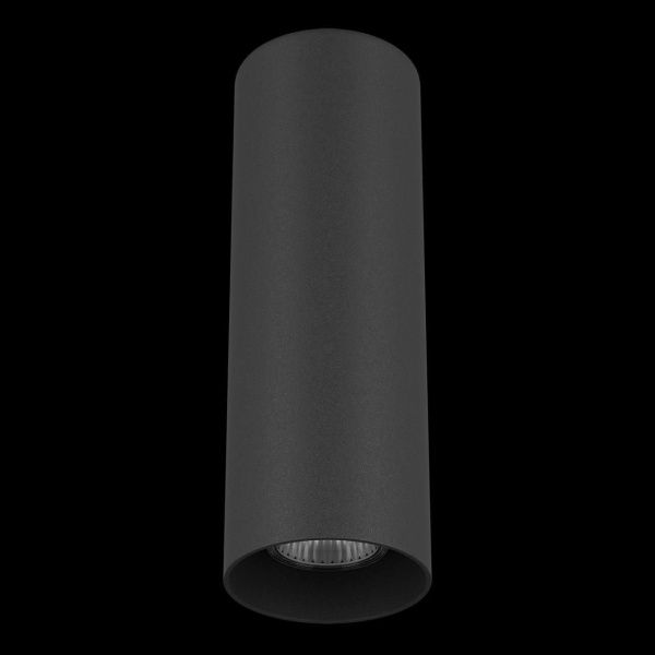 Потолочный светильник Lightstar Rullo 216497